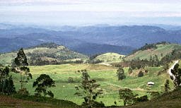 Nice Colombian Landscape